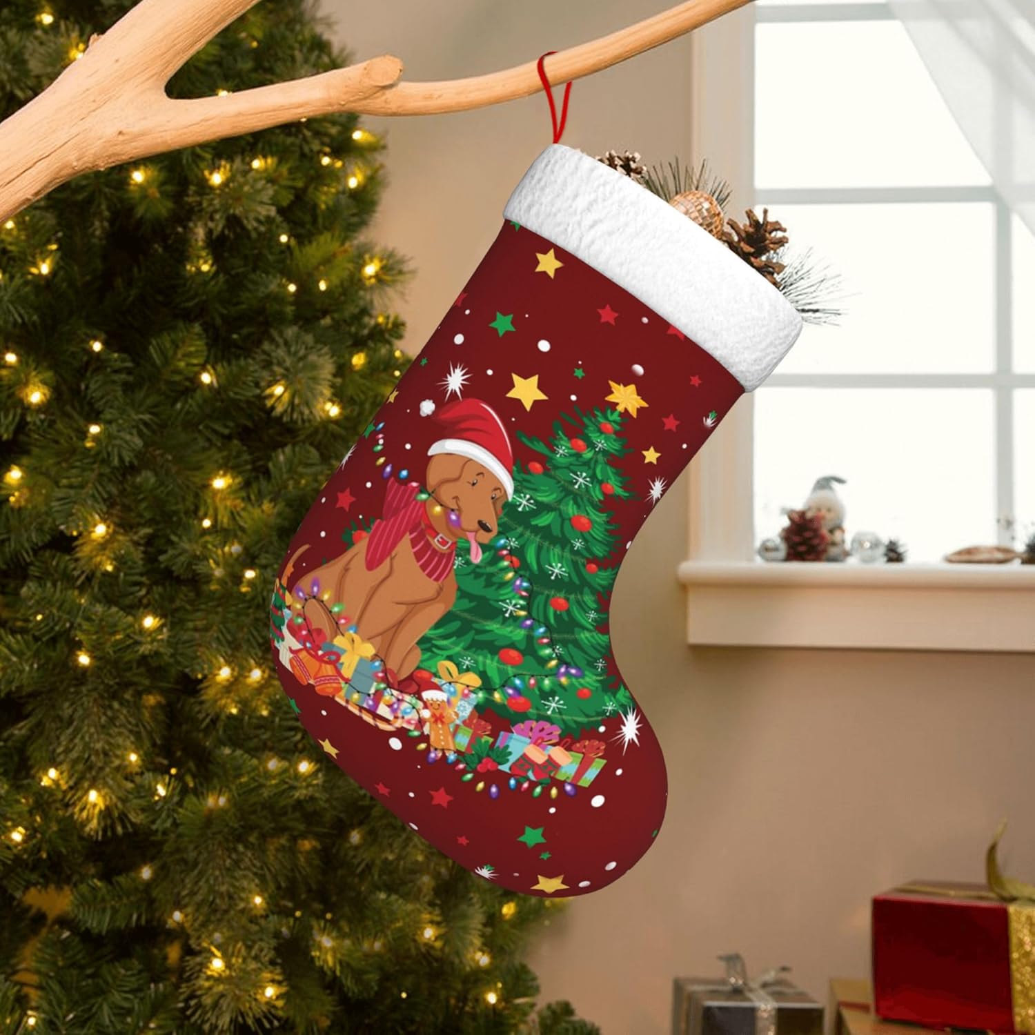 Calze natalizie da appendere a - Christmas Stocking Hanging recensione e prezzo